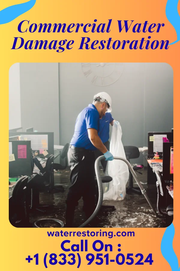 Commercial Water Damage Restoration in Leipsic, DE