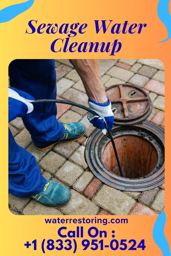 Sewage Water Cleanup in Leipsic, DE